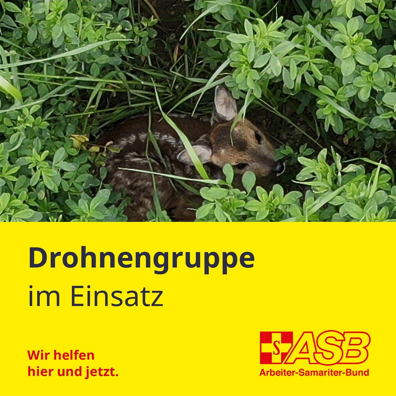 230522 Drohnengruppe im Einsatz Facebook Insta 1080x1080 L.jpg