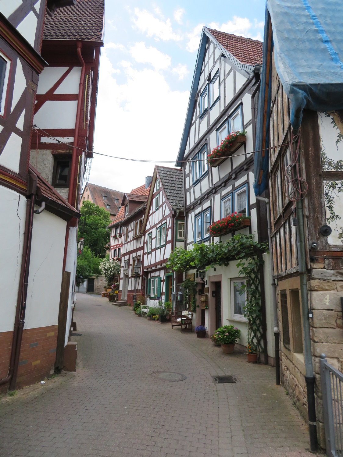 230614_02_Altstadt.JPG