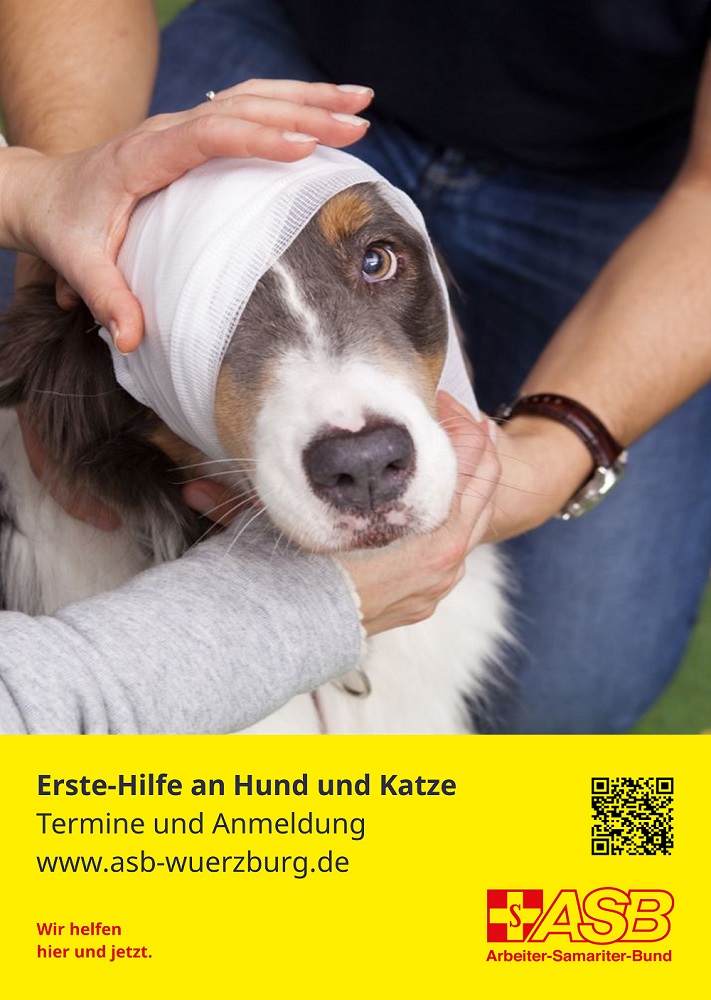 230201Erste Hilfe am Hund .jpg