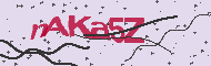 Ungültiger Sicherheitscode